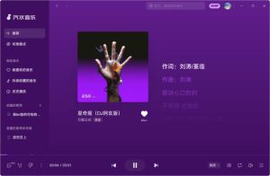 汽水音乐 v2.8.8 PC版-副业严选