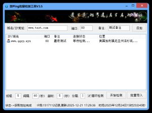 禁Ping多线程批量检测工具V3.5-副业严选