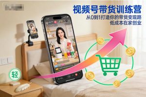 视频号带货训练营，从0到1打造你的带货变现路，低成本在家创业-副业严选