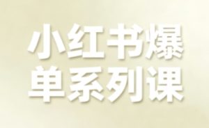 小红书爆单系列课，聚焦小红书电商全链路增长(更新)-副业严选
