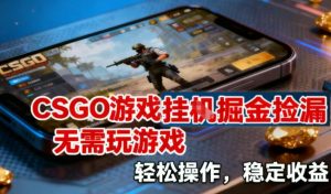 CSGO游戏挂G掘金捡漏，不需要玩游戏，操作简单，收益稳定【揭秘】-副业严选