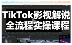 TikTok影视解说全流程实操，手把手教你打造TK爆款解说视频-副业严选