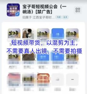 宝子哥头部团队短视频带货，以混剪为主，不需要真人出镜，不需要拍摄【更新11月】-副业严选