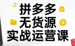 子枫老师·拼多多无货源实战运营课(更新12月)-副业严选