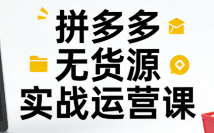 子枫老师·拼多多无货源实战运营课(更新12月) - 副业严选-副业严选