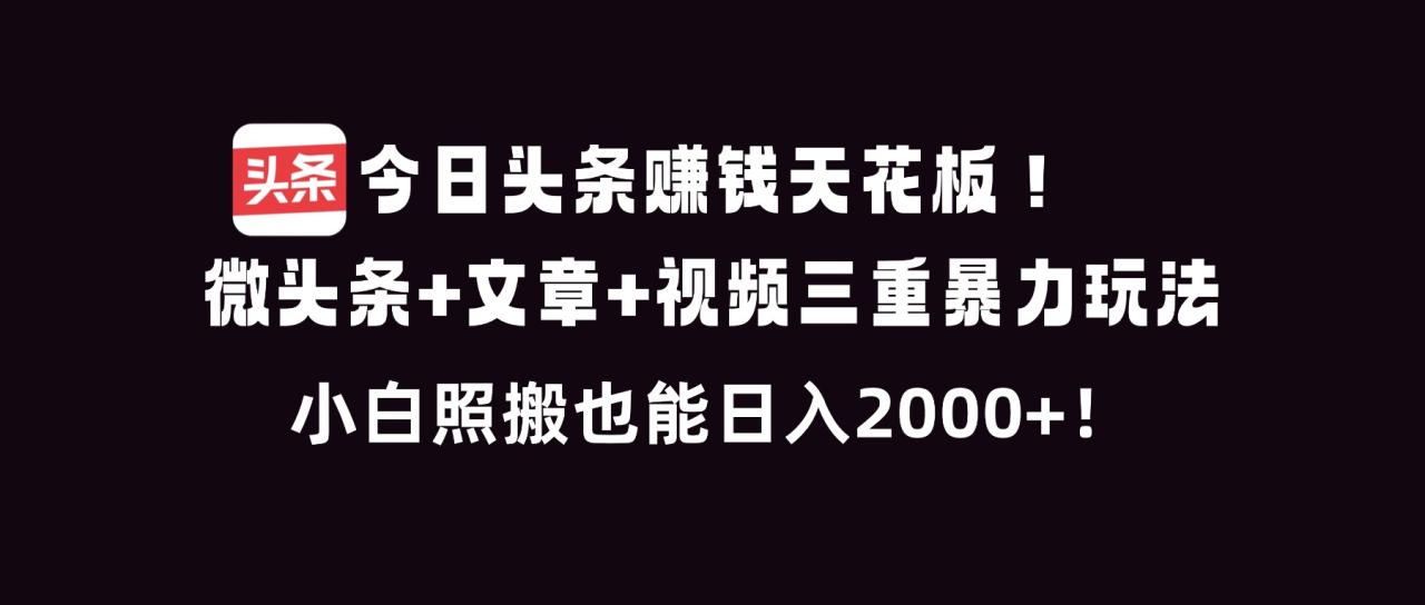 今日头条赚钱天花板！微头条+文章+视频三重暴利玩法，小白照搬也能日人2000+ - 副业严选-副业严选