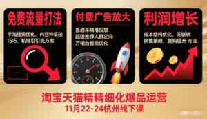 淘宝天猫精细化爆品运营11月22-24杭州线下课,免费流量打法+付费广告放大+利润增长(音频+文档)-副业严选