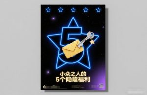 付费文章：小众之人的5个隐藏福利-副业严选