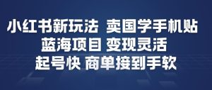 小红书新玩法，卖国学手机贴，蓝海项目，变现灵活，起号快，商单接到手软-副业严选