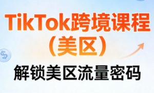 TikTok跨境课程(美区)-副业严选