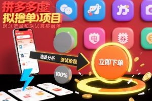 拼多多虚拟撸单项目,跳过选品和测试直接撸单-副业严选