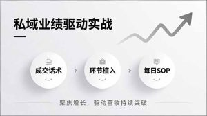 私域业绩驱动实战，成交话术、环节植入、每日SOP，聚焦增长，驱动营收持续突破-副业严选