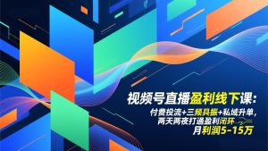 视频号直播盈利线下课：付费投流+三频共振+私域升单，两天两夜打通盈利闭环，月利润5-15万-副业严选