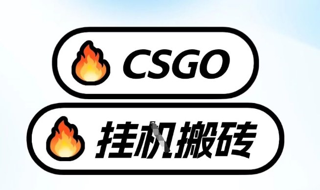 真全网独家CSGO挂G，最新玩法,单日捡漏1K+，不用电脑，不用打游戏【揭秘】 - 副业严选-副业严选