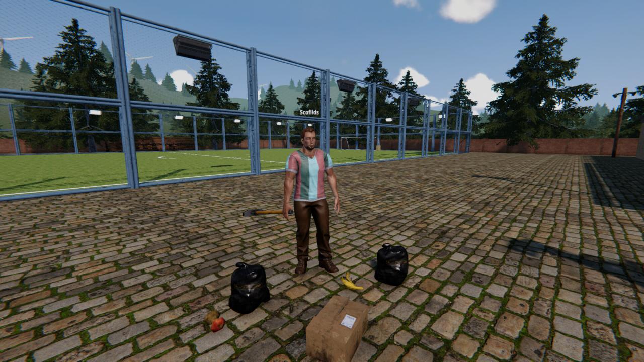 《足球场模拟器》Build.20362264