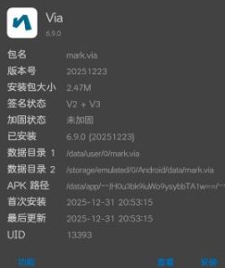 via浏览器6.9.0 最终修改版-副业严选