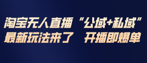 淘宝无人直播最新玩法，包含私域和公域两种玩法-副业严选