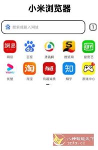 小米浏览器国际版14.49.1-副业严选