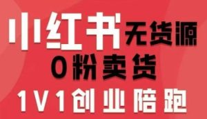 小红书无货源0粉电商课，开店准备、选品策略、笔记撰写、视频剪辑、数据分析、账号打造、资料文档(更新)-副业严选