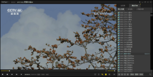 PotPlayer v1.7.22777绿色版-副业严选