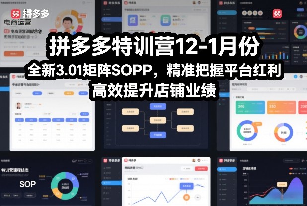 拼多多特训营12-1月份，全新3.01矩阵Sop，精准把握平台红利，高效提升店铺业绩 - 副业严选-副业严选
