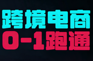 东南亚TikTok小店运营实操-副业严选