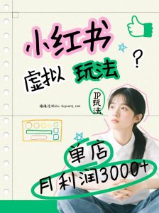 小红书虚拟玩法(铺货流和单品玩法)，单店月利润3000+，IP打法+原创商品(0违规)-副业严选