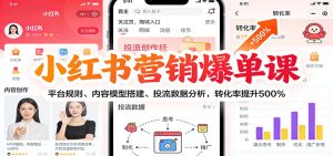 小红书营销爆单课:平台规则、内容模型搭建、投流数据分析,转化率提升500%-副业严选
