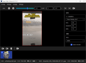 AI视频修复Topaz Video v1.2.0高级版-副业严选