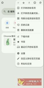 谷歌浏览器 Google Chrome v143.07499.146-副业严选