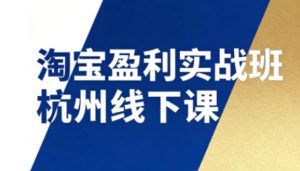 淘宝盈利实战班杭州线下课12月26-28日(音频+字幕),帮你掌握SOP流程+12门核心技术-副业严选
