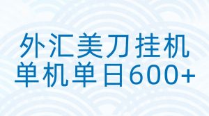 外汇美刀挂机：全自动挂机赚美金，单机600+-副业严选