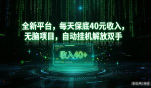 最新看广平台，每天保底30-4米，无脑项目，自动挂G解放双手【揭秘】-副业严选