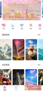 91熊猫桌面主题v1.0.6高级版-副业严选