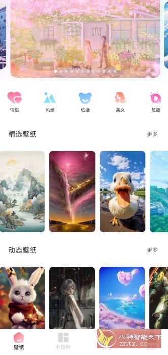 91熊猫桌面主题v1.0.6高级版 - 副业严选-副业严选