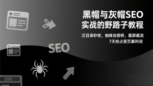 黑帽与灰帽SEO实战的野路子教程：泛目录秒收，蜘蛛池搭桥，霸屏截流，7天抢占首页暴利词-副业严选