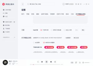 网易云音乐v3.1.26.204919绿色版-副业严选