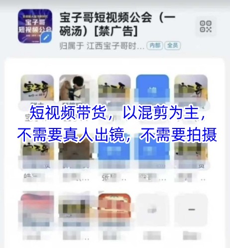 宝子哥头部团队短视频带货，以混剪为主，不需要真人出镜，不需要拍摄【更新12月】 - 副业严选-副业严选