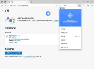 迅雷2025 Beta 25.0.1.1036 绿色精简版-副业严选