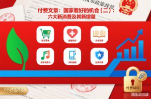 付费文章：国家看好的机会(二)：六大新消费及其新增量-副业严选