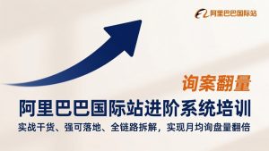阿里巴巴国际站进阶系统培训，实战干货、强可落地、全链路拆解，实现月均询盘量翻倍-副业严选