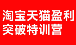 玺承·淘宝天猫盈利突破特训营(25年12月线下课)【音频+字幕】-副业严选