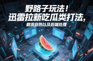 野路子玩法！迅雷拉新吃瓜类打法，截流自热以及后端处理-副业严选