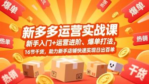 拼多多运营实战课，新手入门+运营进阶、爆单打法，16节干货，助力新手店铺快速实现日出百单-副业严选