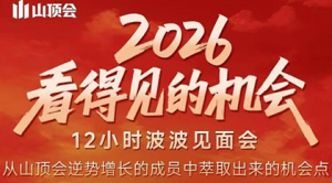 波波·2026看得见的机会12小时波波见面会(东莞线下课2月1日)-副业严选