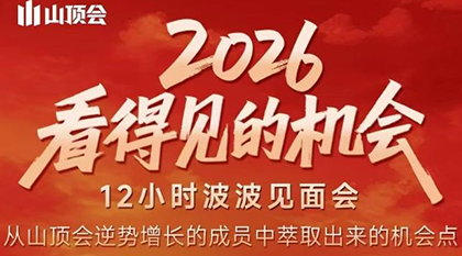 波波·2026看得见的机会12小时波波见面会(东莞线下课2月1日) - 副业严选-副业严选