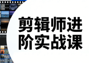 剪辑师进阶实战课(更新23年-25年)-副业严选